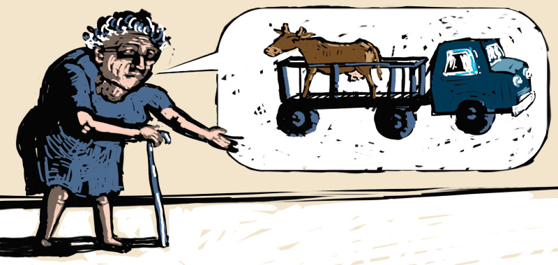 Comic story about country side, Cow has been sold, Grandma can not handdle